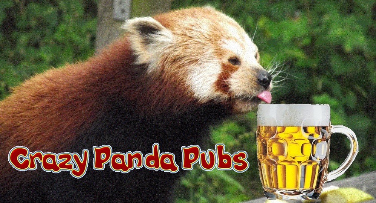 Crazy Panda Pubs